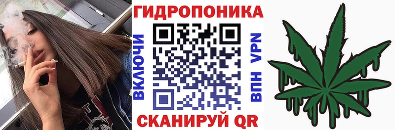 ГАШИШ Новоузенск