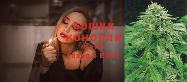 spice Бородино
