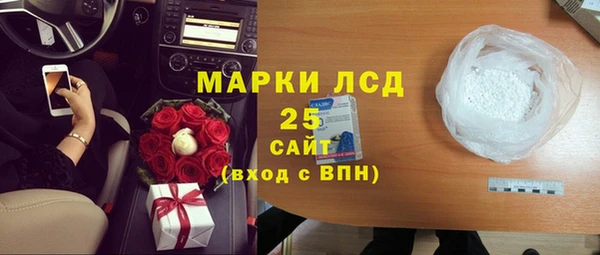 spice Бородино