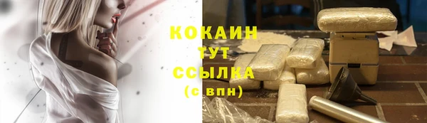 spice Бородино