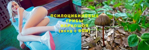 трава Бронницы