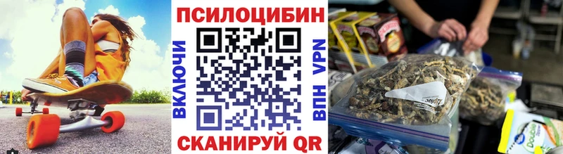 Галлюциногенные грибы Cubensis  где можно купить   mega tor  Новоузенск 