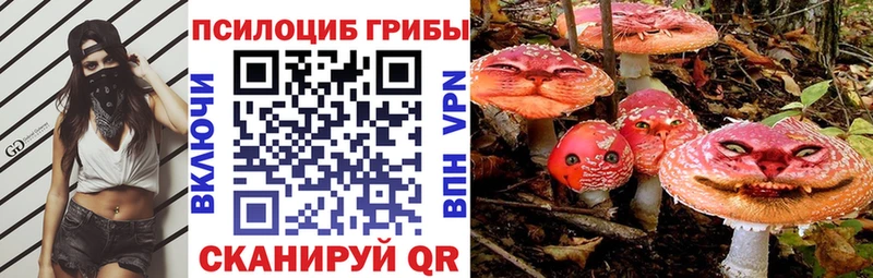 Псилоцибиновые грибы ЛСД Новоузенск